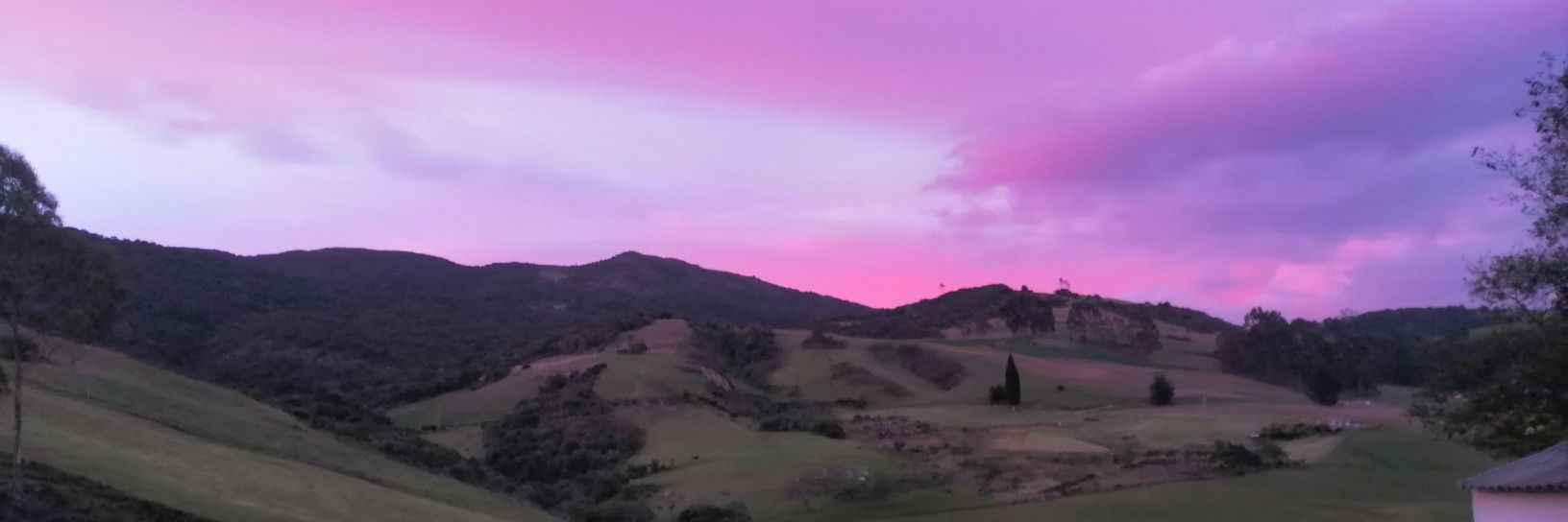 ELIZASIES's profile banner image