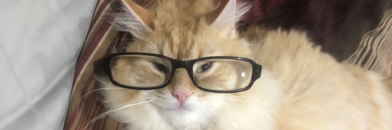 Prepare to fight 💙 💙 💙 banner