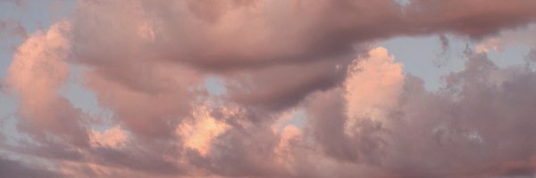 GeorgiaGinnivan Profile Banner