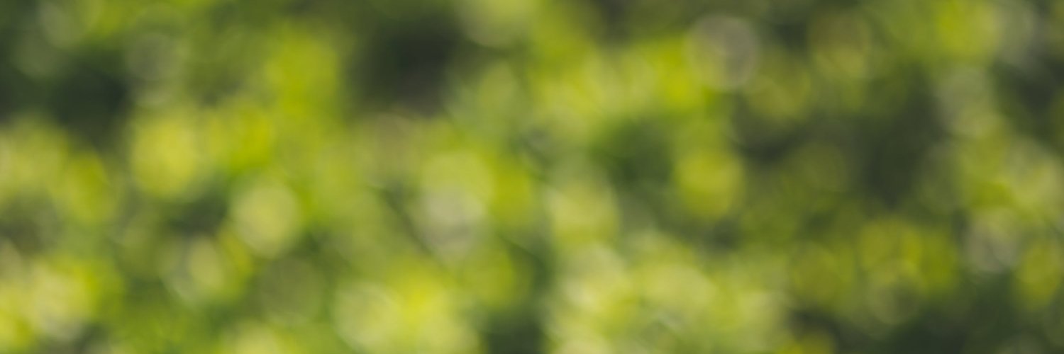 shaunlichti's profile banner image