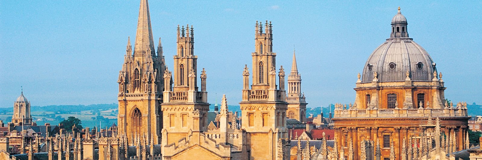 Danielle Czerkaszyn banner