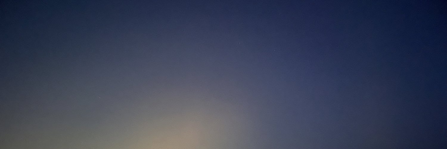 sngpltiger24's profile banner image