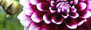 jade7696's profile banner image