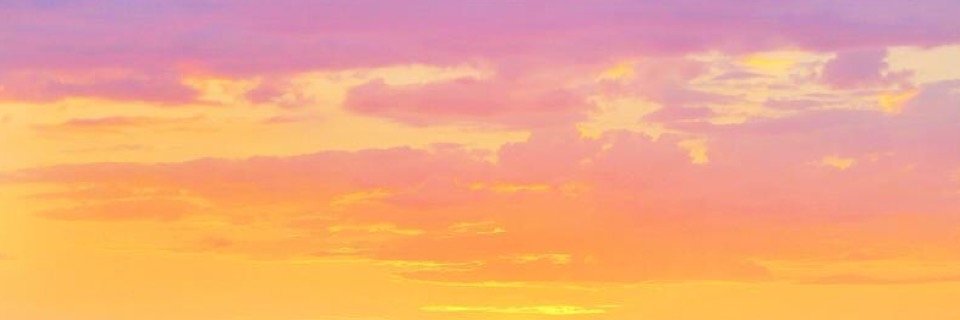 madeleinebech's profile banner image