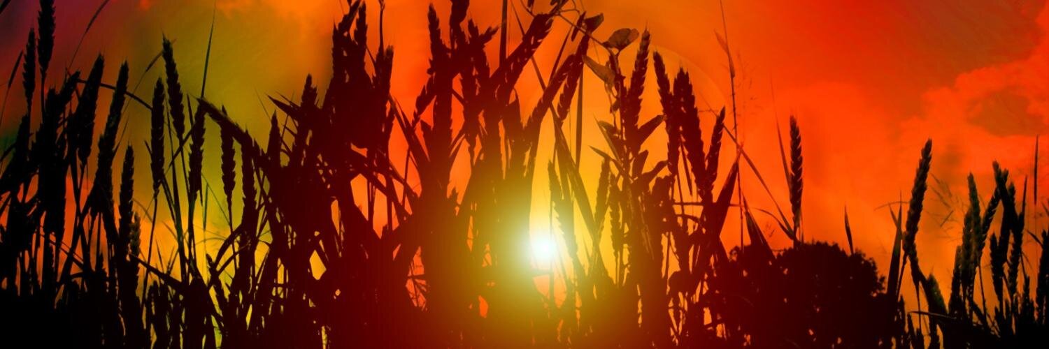 FireSeedArts's profile banner image
