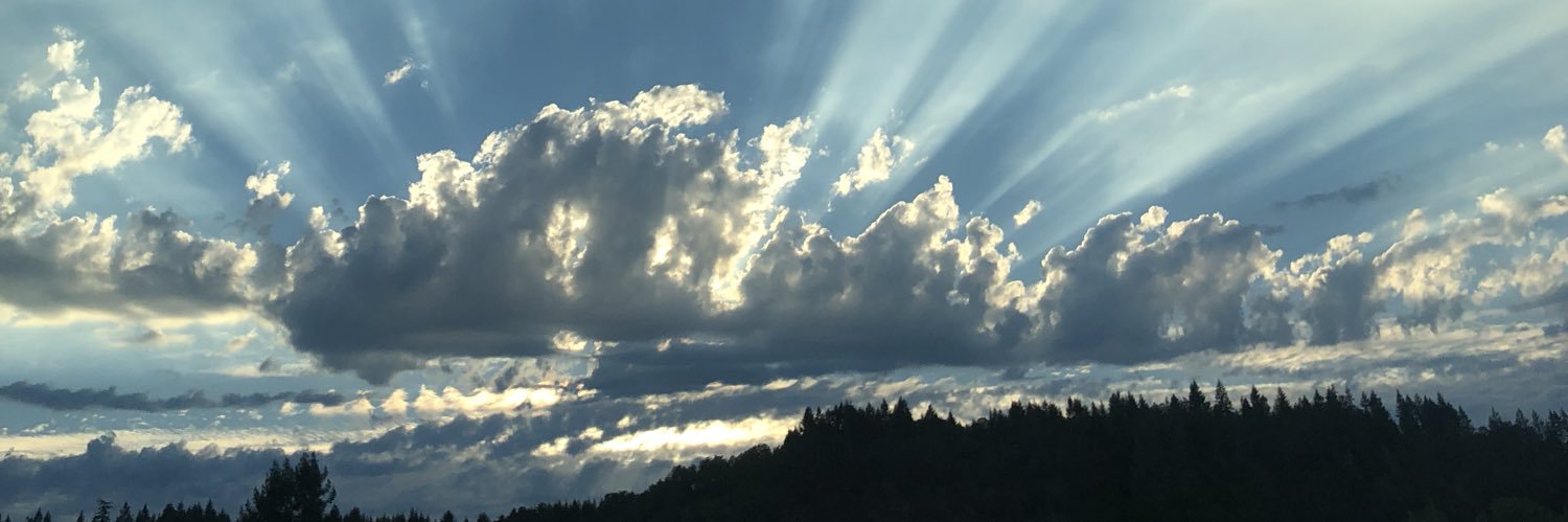 rosabeales's profile banner image
