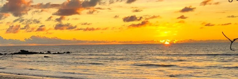 امنا banner