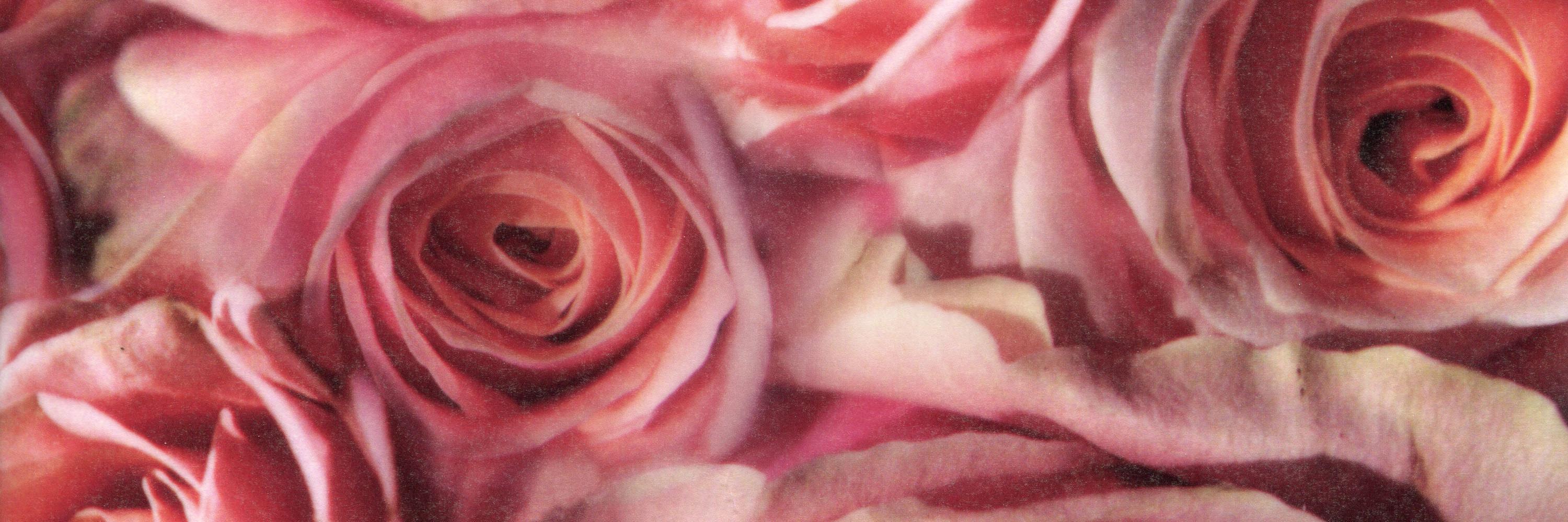_laurajuan's profile banner image