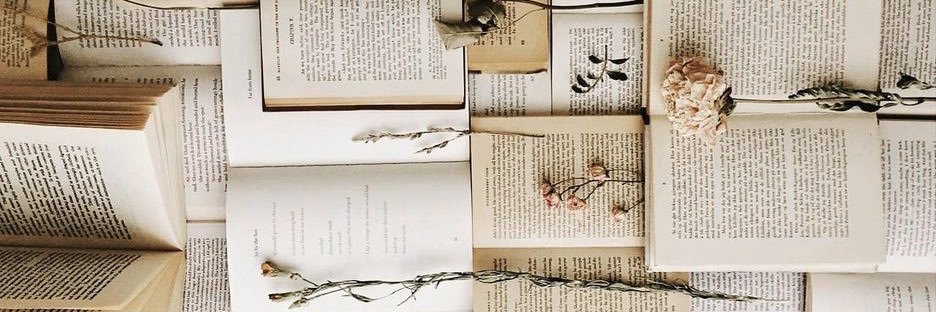 Queen_arrow_'s profile banner image