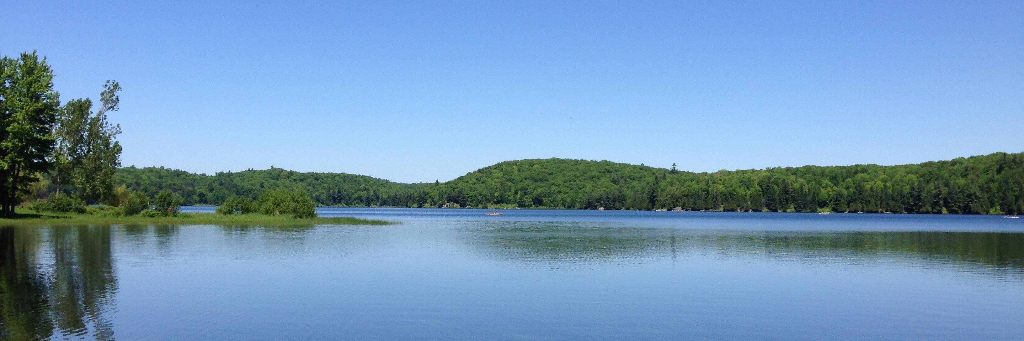 Maddison Long banner