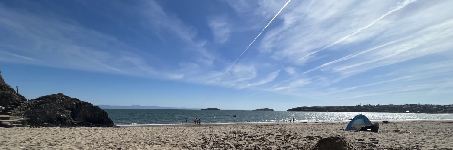 Lizzi Moussa 💙 banner