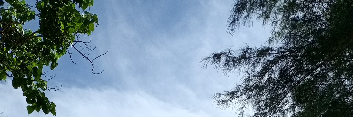 elsa banner
