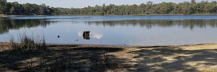 John Steele 🇬🇧 banner