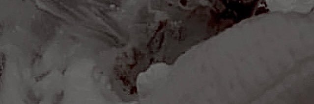 🍥ﾅﾀｺ🍥 banner