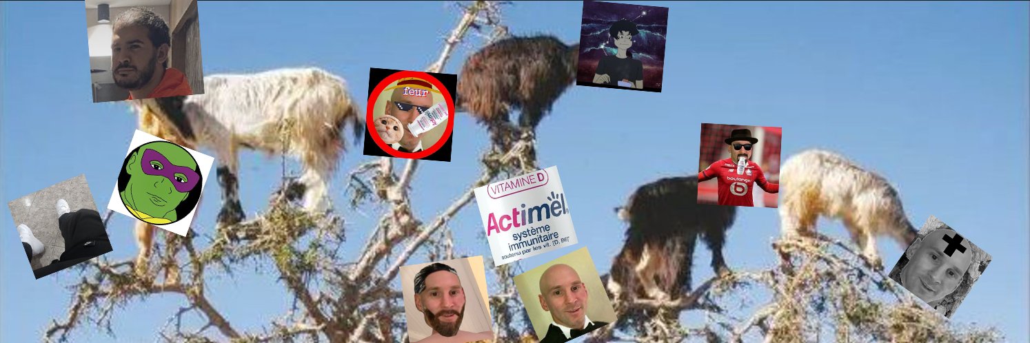 PanardMoldave's profile banner image