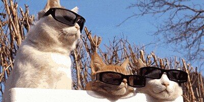 MsMeowMix =^..^= banner