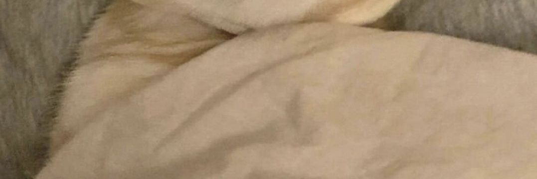 Mardos1997's profile banner image