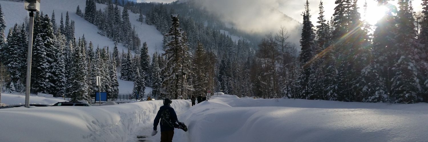 ReidTrier's profile banner image