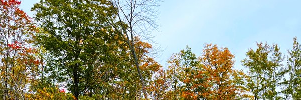 Roy__Hajjar Profile Banner