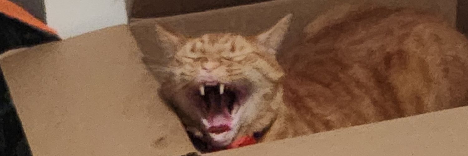 ApryllPaszuk's profile banner image