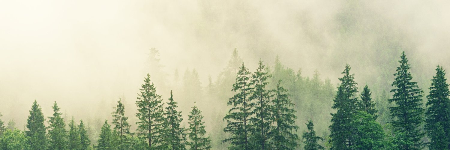theluctus's profile banner image