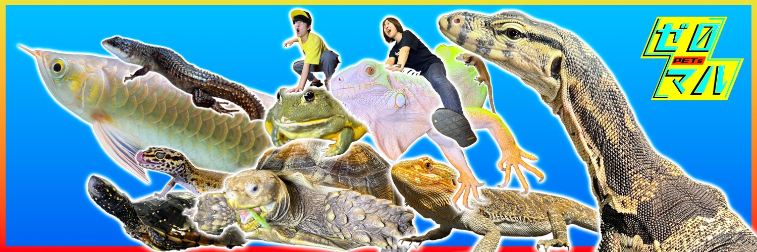 ぜろまるペッツ banner