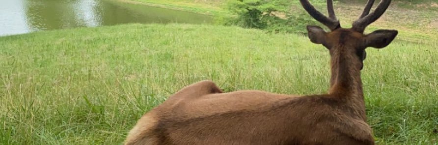 MarsBars_95's profile banner image