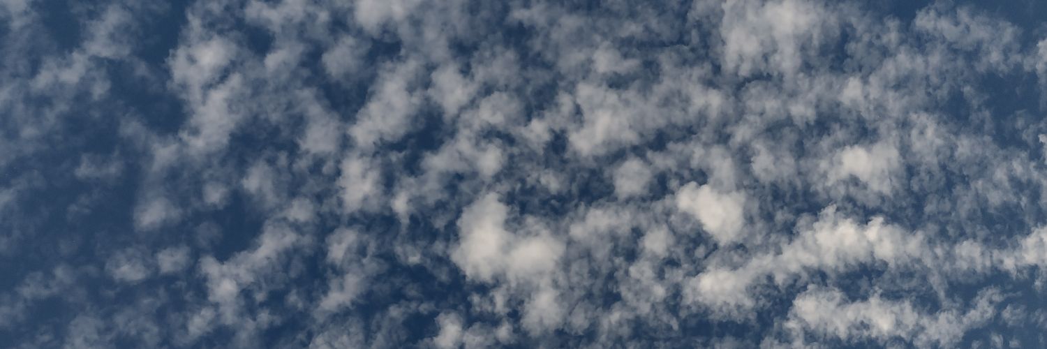 RooAlbaa's profile banner image