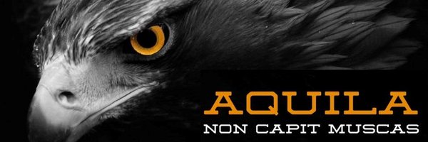 Mrkalpas Profile Banner