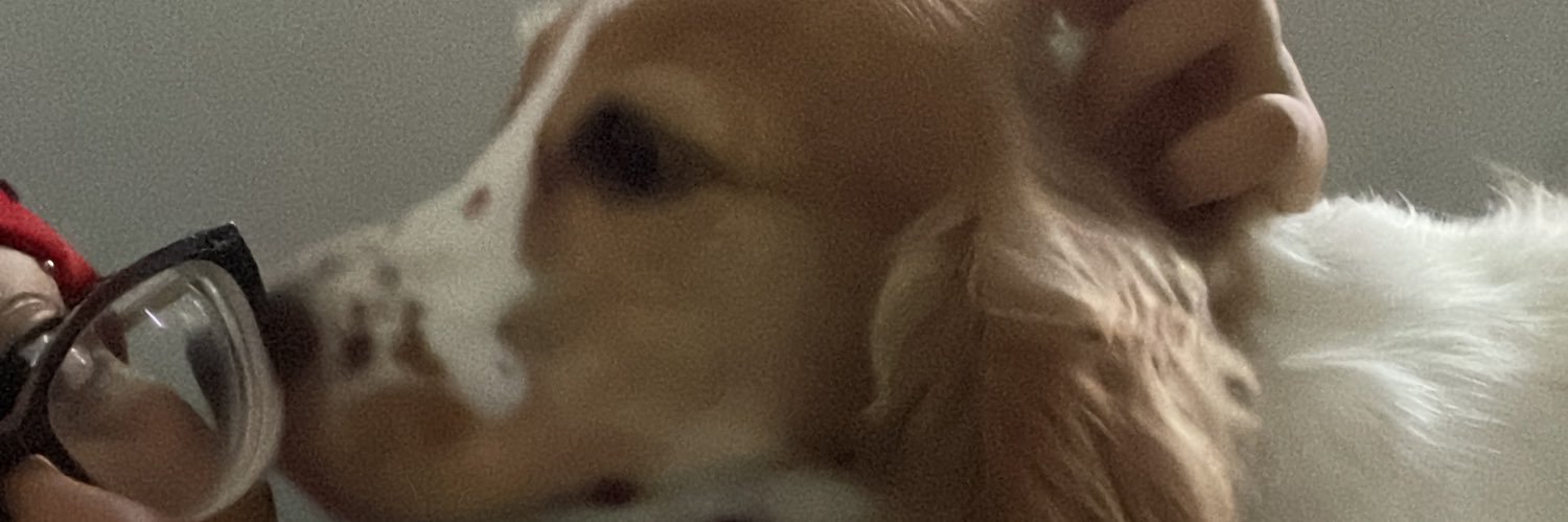 ka banner