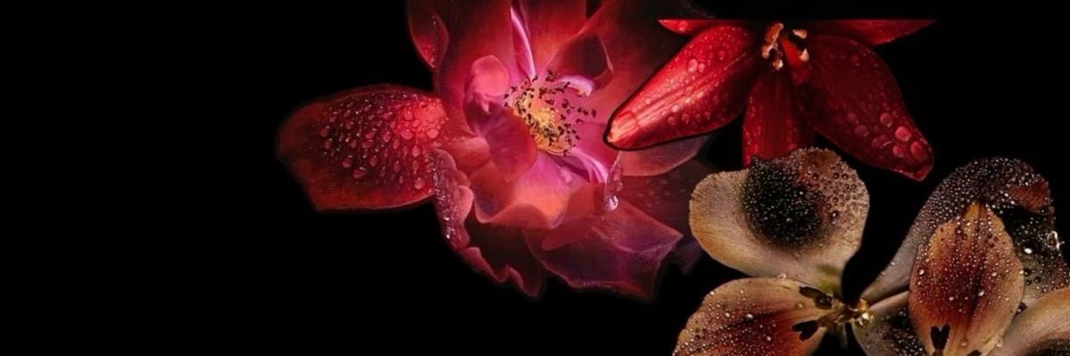 luvyyeri's profile banner image