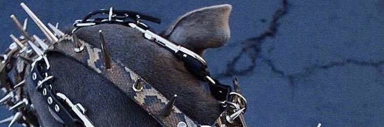 Trriplee.X banner
