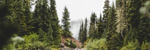 CraftyNSparkly Profile Banner