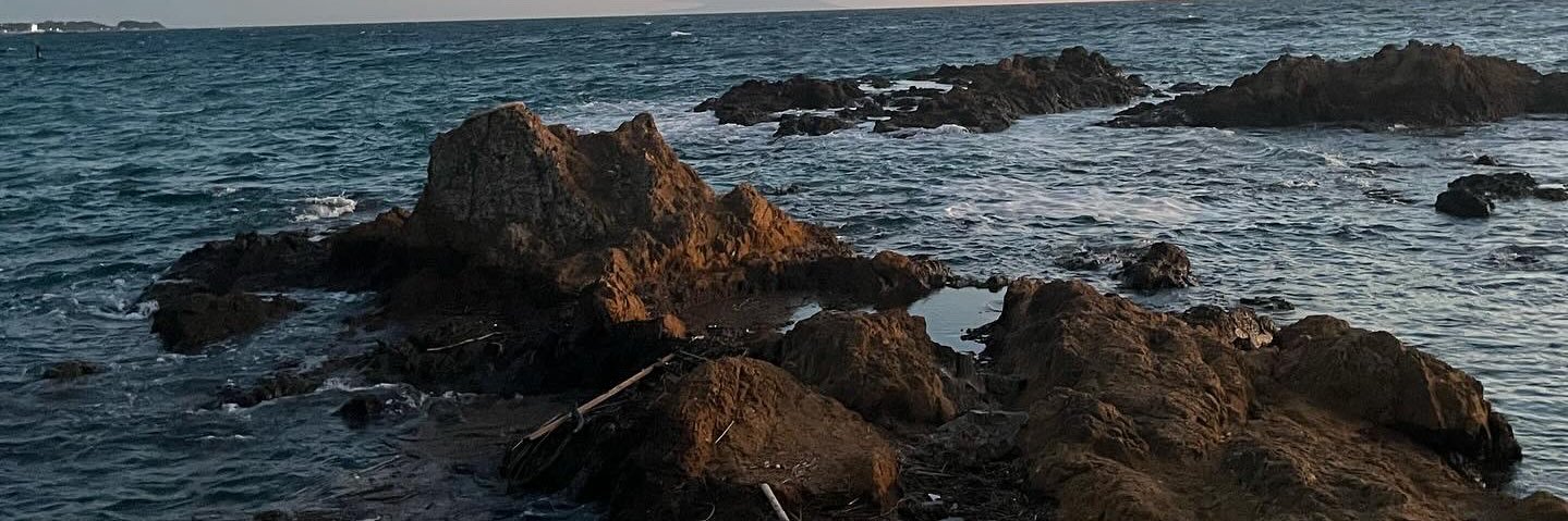 ありすはーと🚹 banner