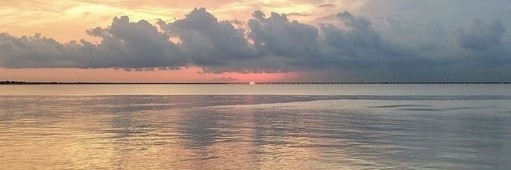 macast_06's profile banner image
