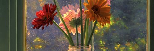 marthafni's profile banner image