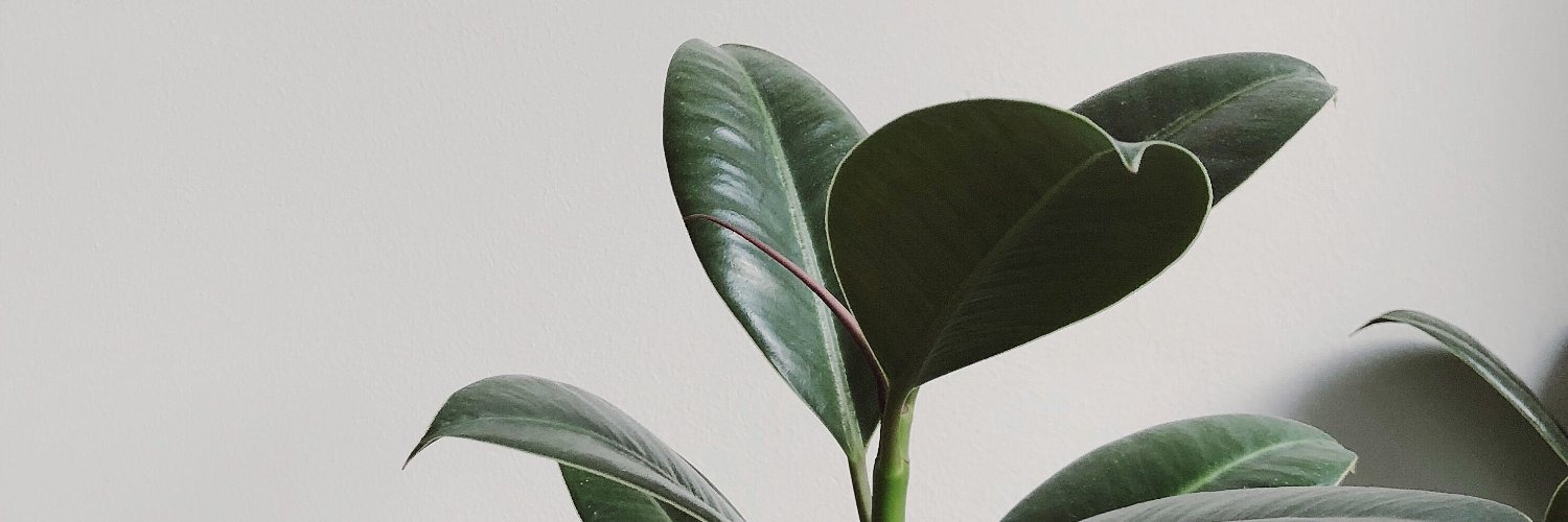 thisbelauraa's profile banner image