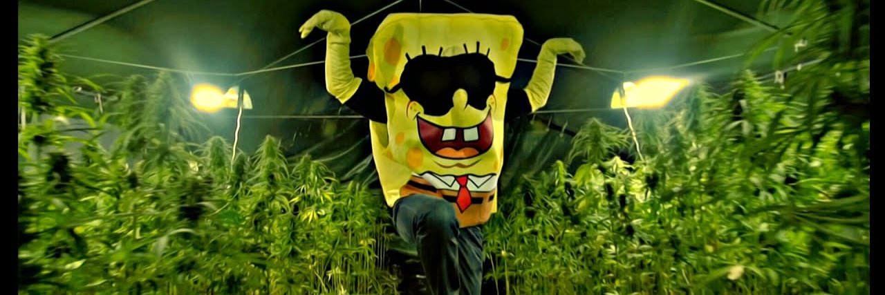 SpongeBOZZ banner