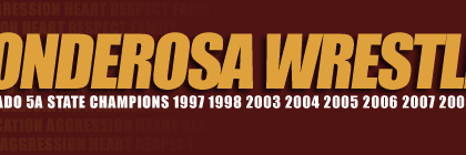 WrestlePondo's profile banner image