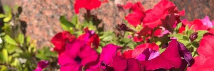 f059215's profile banner image