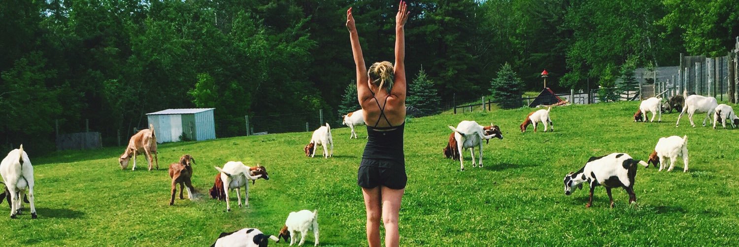 sarahensell's profile banner image