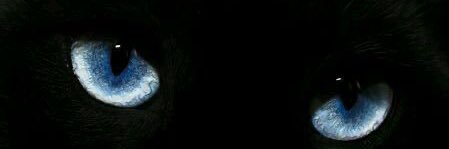 ėė banner