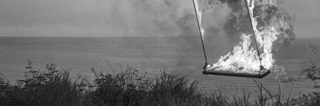 ︎ ︎ ︎ ︎ ︎ ︎ ︎ ︎ ︎ ︎ ︎🐸 banner