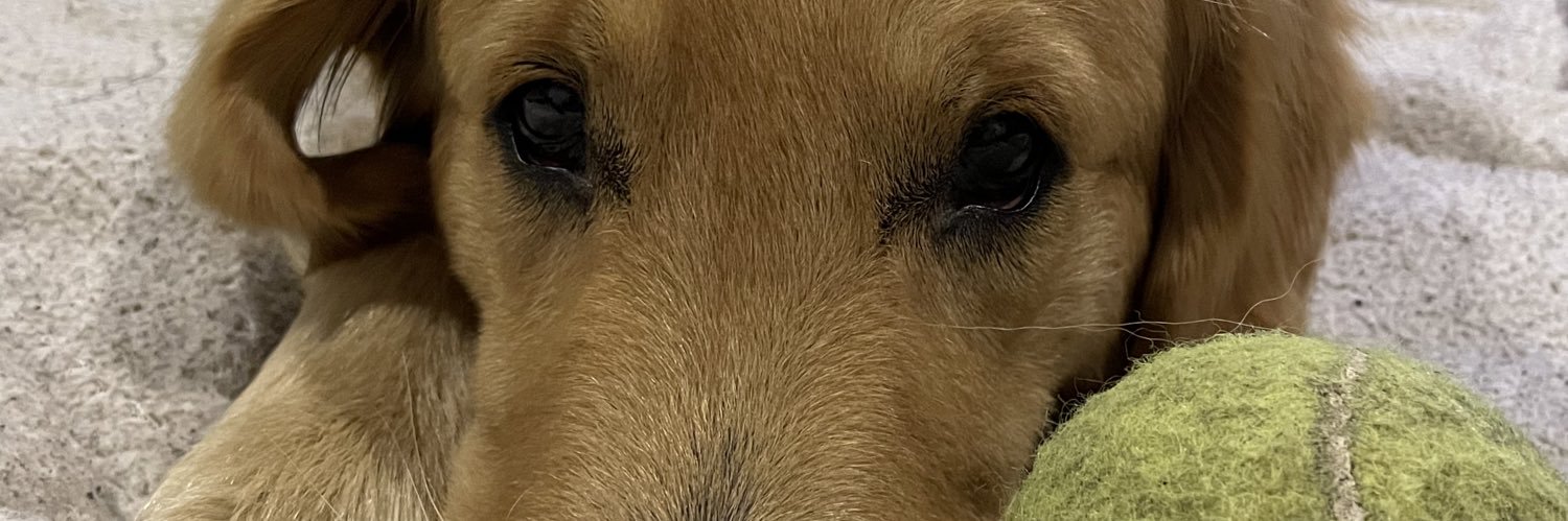 ChristianSaras3's profile banner image