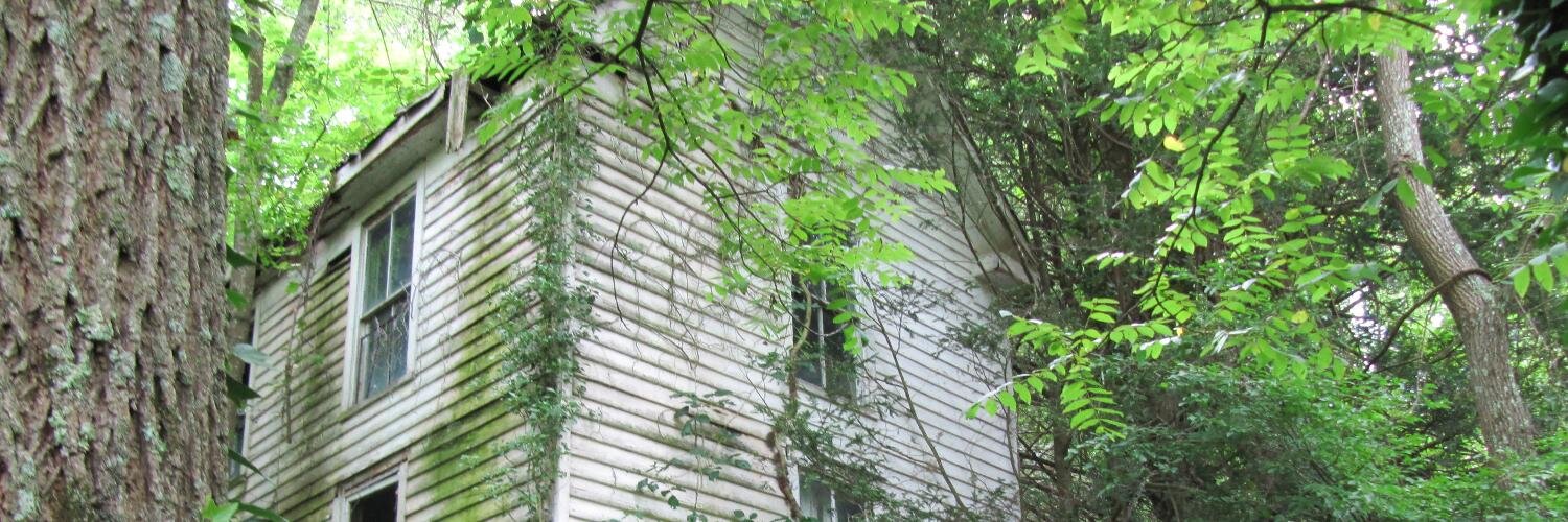 AncestryAnne's profile banner image