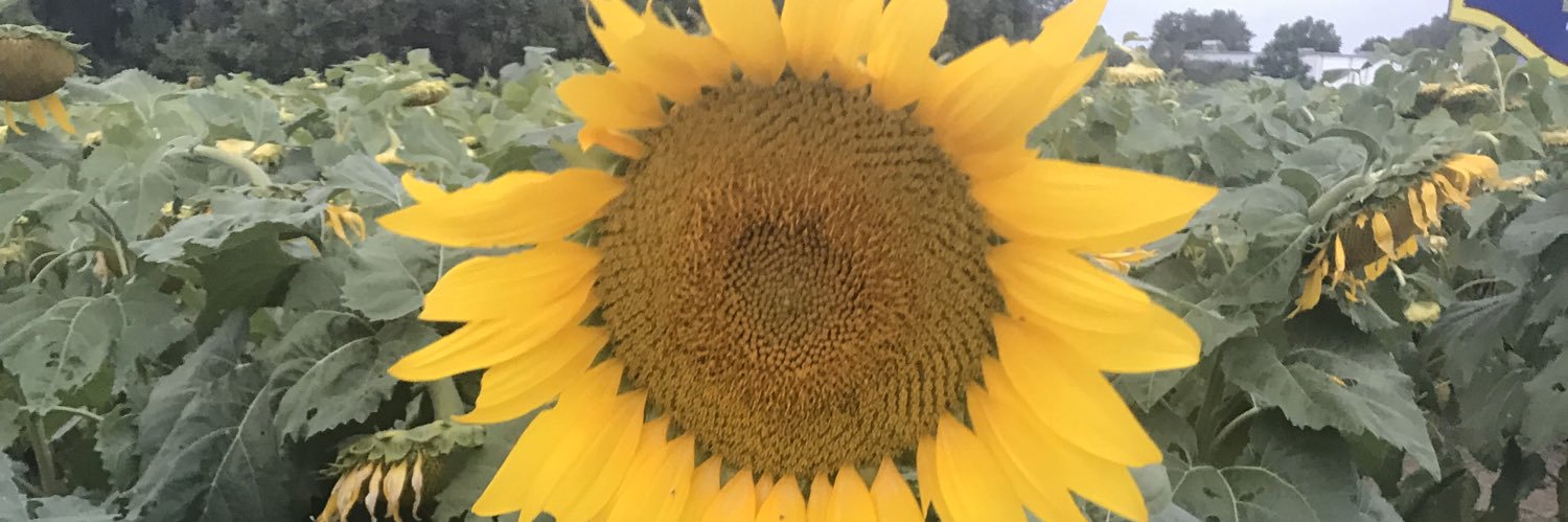 Daeja___'s profile banner image