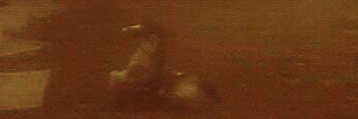 benjamin_janzen's profile banner image