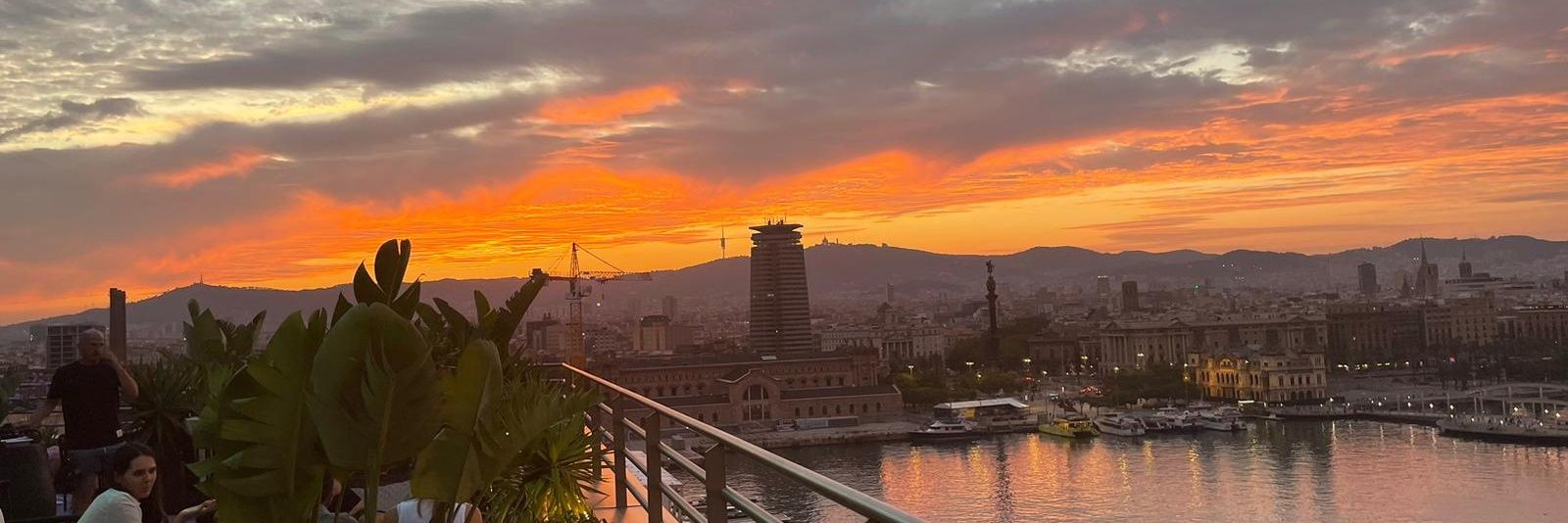 olanicoo's profile banner image