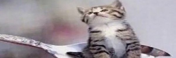 _shiggles Profile Banner