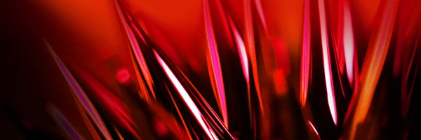 krappaaaa Profile Banner
